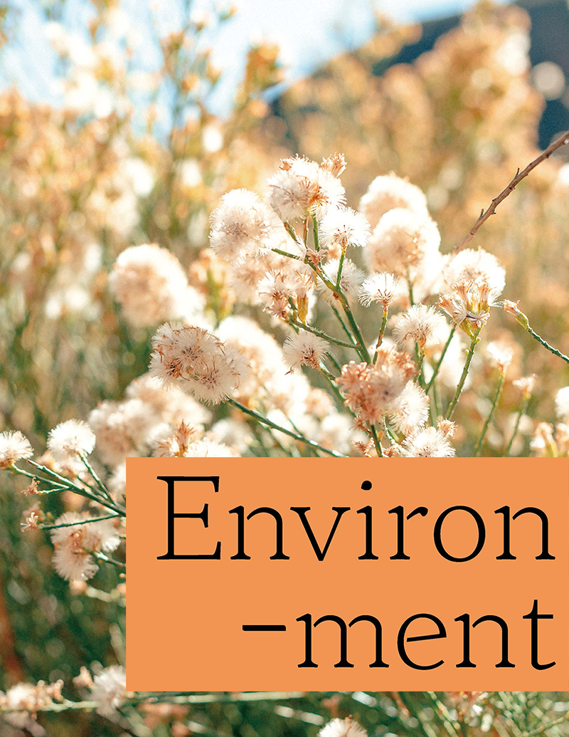 너와 나, 우리의 일상